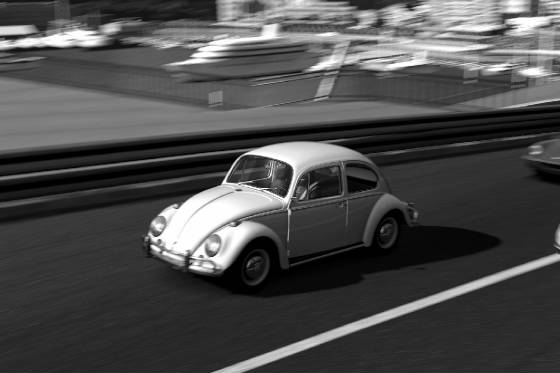 beetle_bnw.jpg