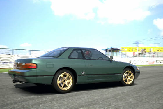 ricer_silvia.jpg